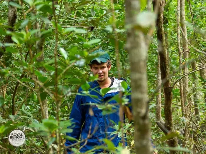 A tourist walking along a narrow forest trail in the Sundarbans