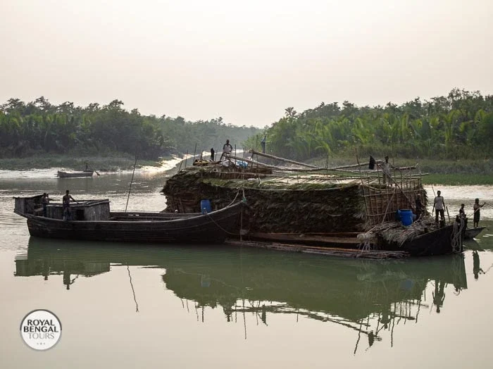A boat overloaded with nipa palm fronds (Gol Patta) in Sundarbans