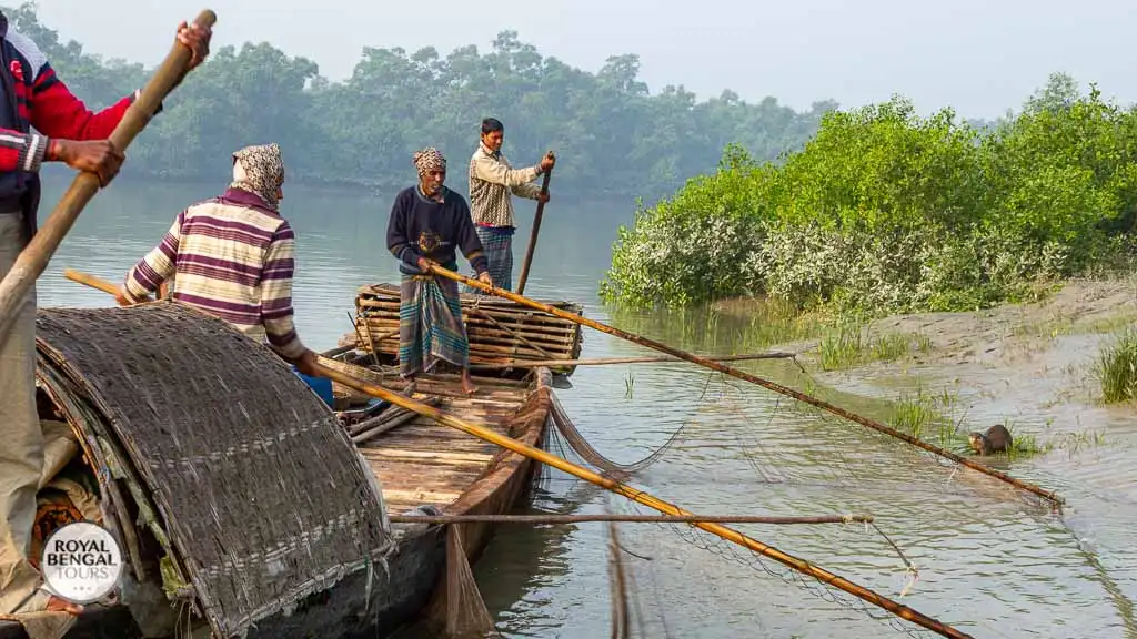 Otter Fishing in the Sundarbans with Royal Bengal Tours