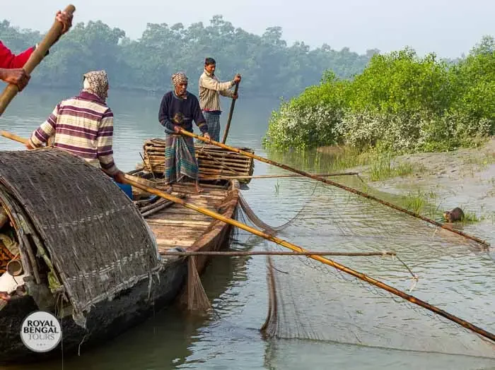 Otter fishermen risks their life for fishing inside sundarban forest