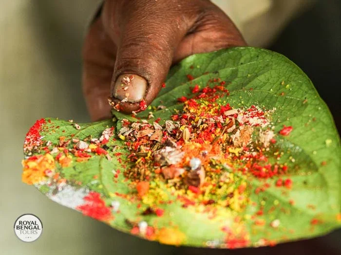 Bettel is the most common and traditional drug in Bangladesh