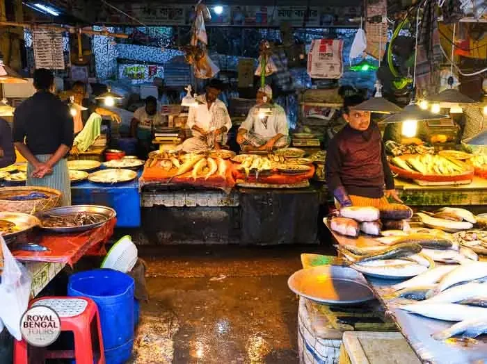Visiting a mish market in Kawran Bazar during old dhaka trip