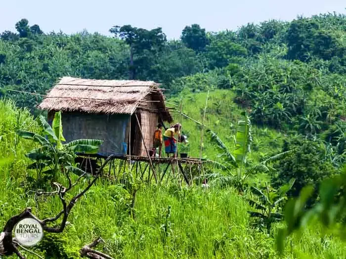 seasonal jhum house for agriculture in Chittagong Hill Tracts